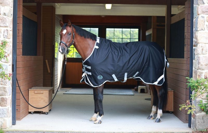 Centaur TG3 Horse Blanket