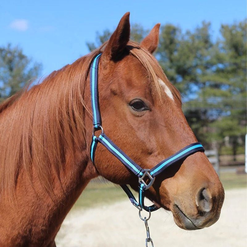 TuffRider Nylon Breakaway Halter & Lead Set