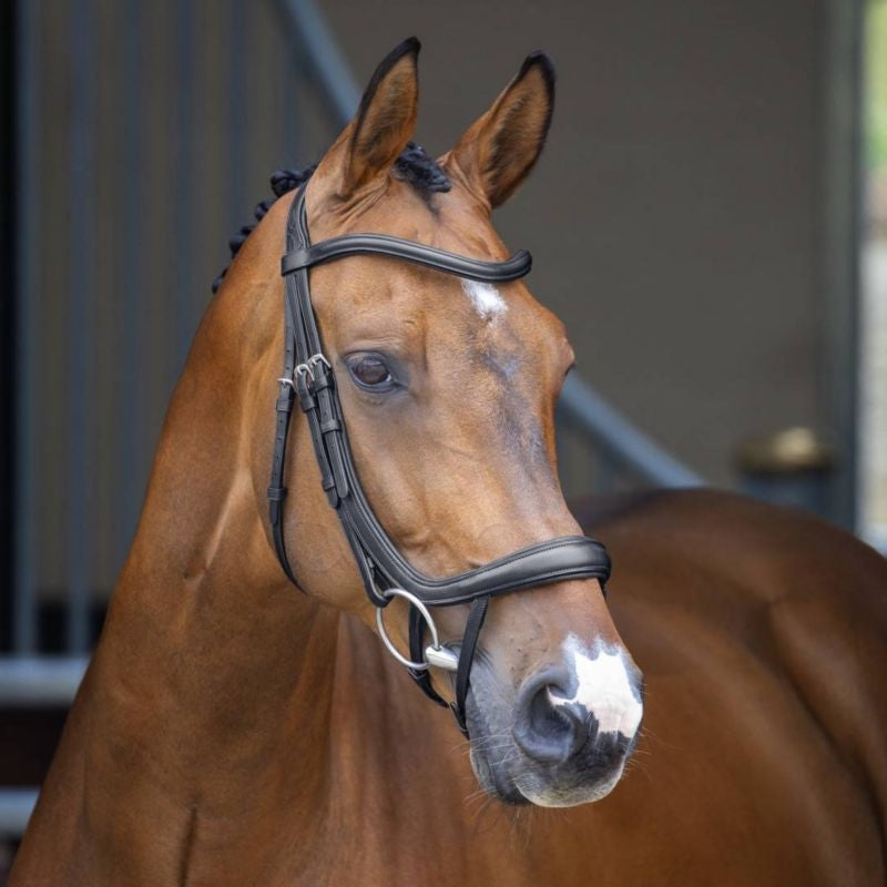 Shires Velociti Ergonomic Curved Flash Bridle