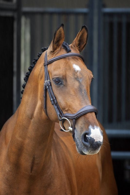 Shires Velociti Lusso Ergonomic Flash Bridle