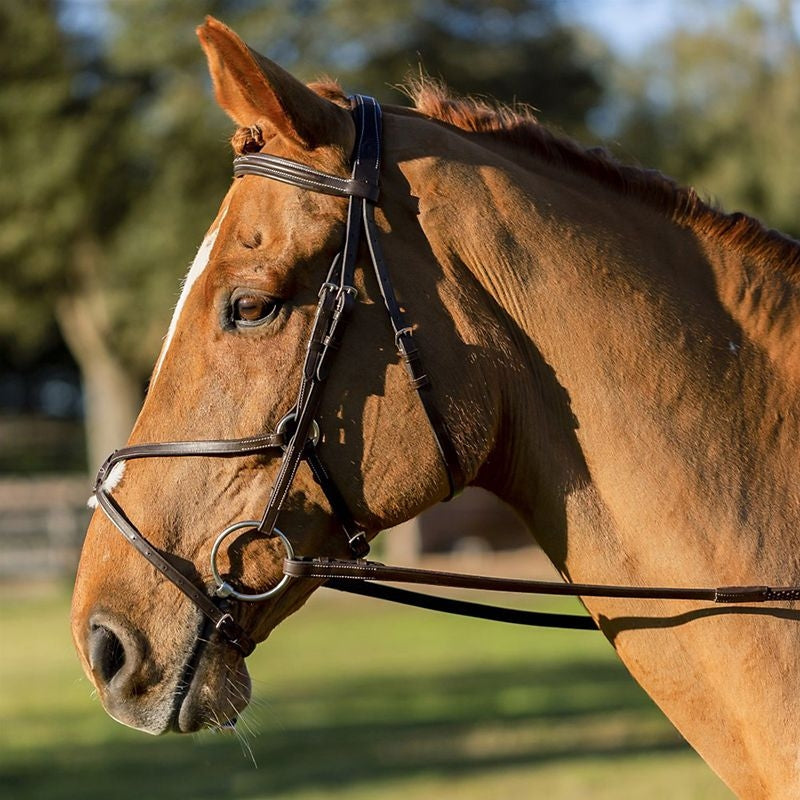 Equinavia Saga Fancy Stitched Figure 8 Bridle