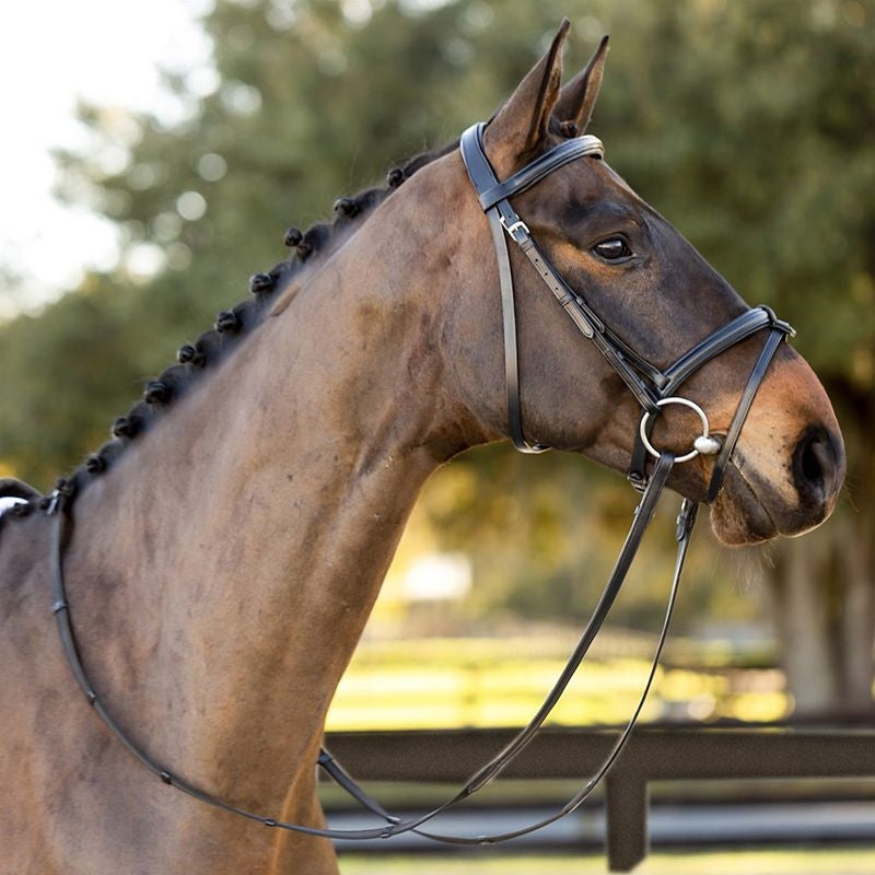 Equinavia Saga Padded Dressage Bridle & Reins