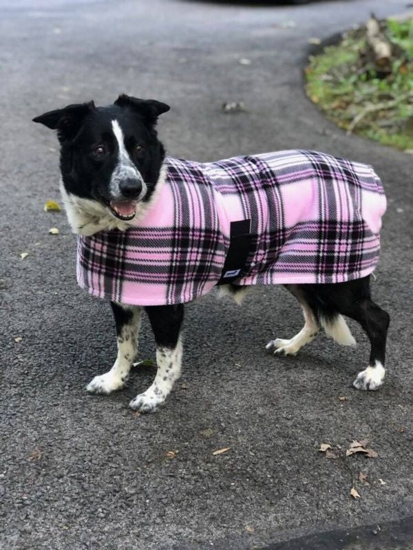 TuffRider Aspen Fleece Dog Coat XLarge Wisteria