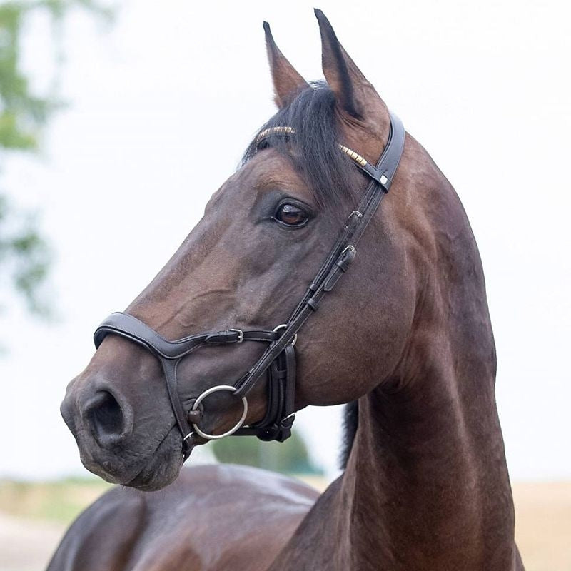 Horze Stewart Anatomical Bridle