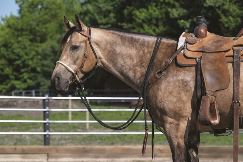 Weaver Loping Hackamore Leather Hanger
