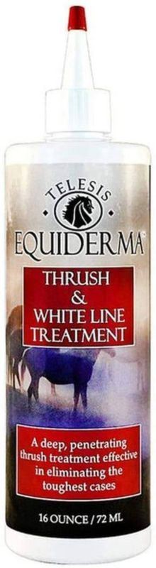 Equiderma Thrush And Whiteline Treatment