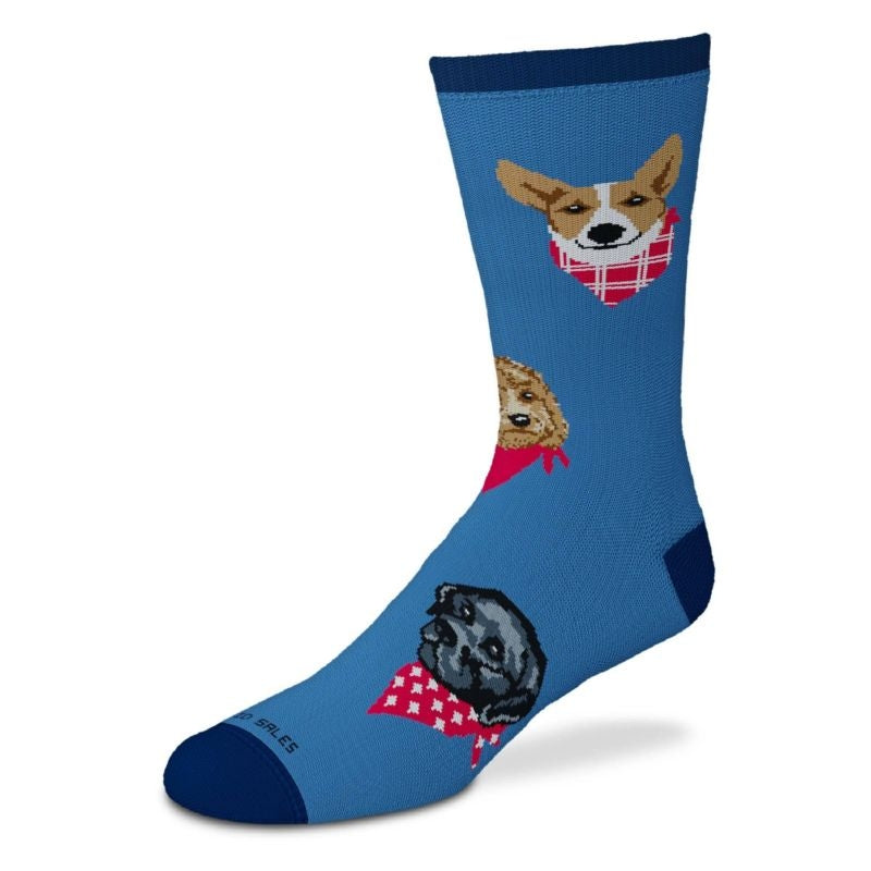 Gt Reid Barn Besties Socks Blue Adult