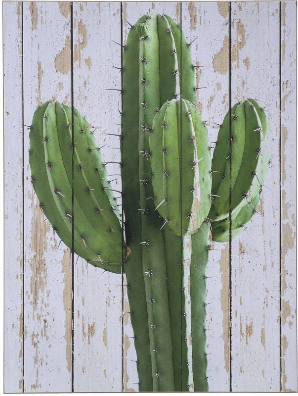 Wall Decor Cactus/Planks