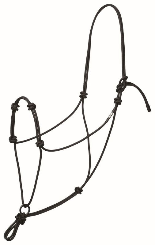 Av 4 Knot Transtn Rope Hltr Bk