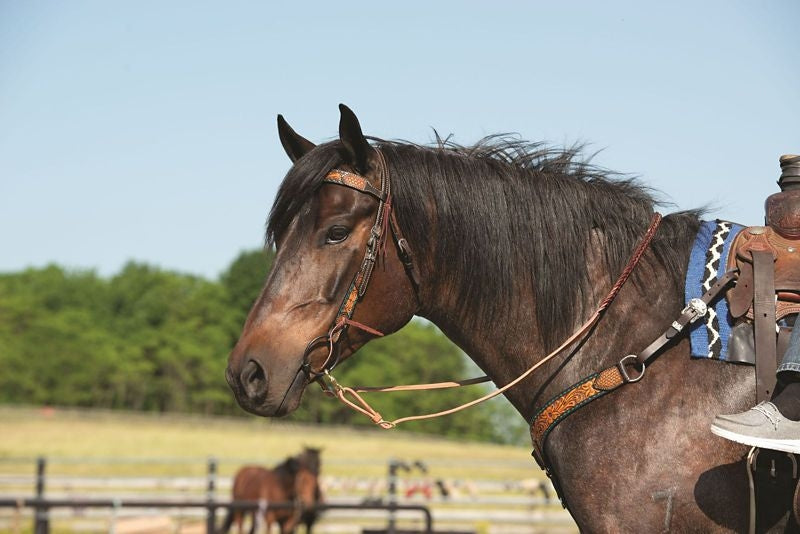 Floral Buckstitch B/Band Headstall