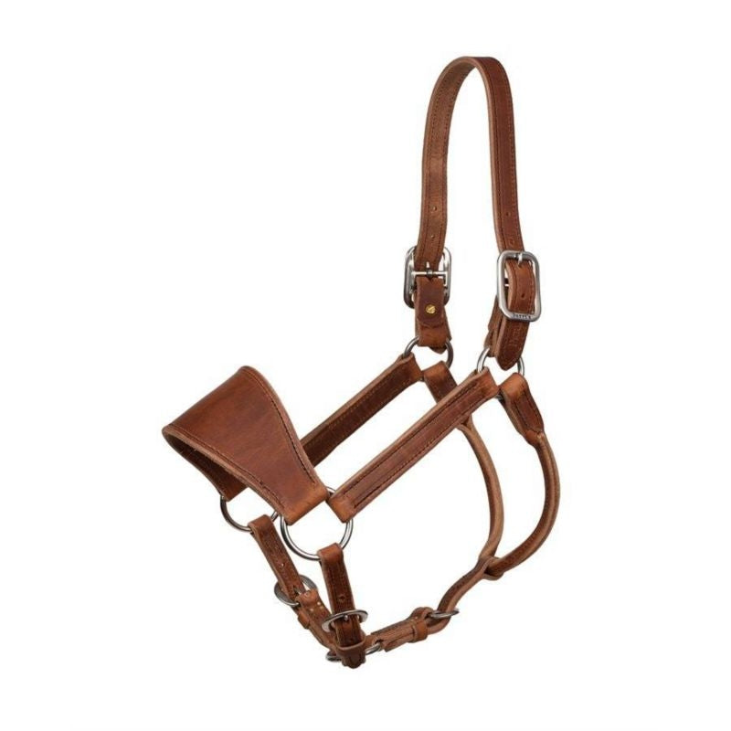 Perris Ranch Halter Harness Leather Horse