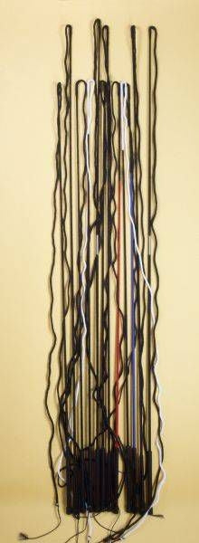 Dozen Lunge Whip Assortment
