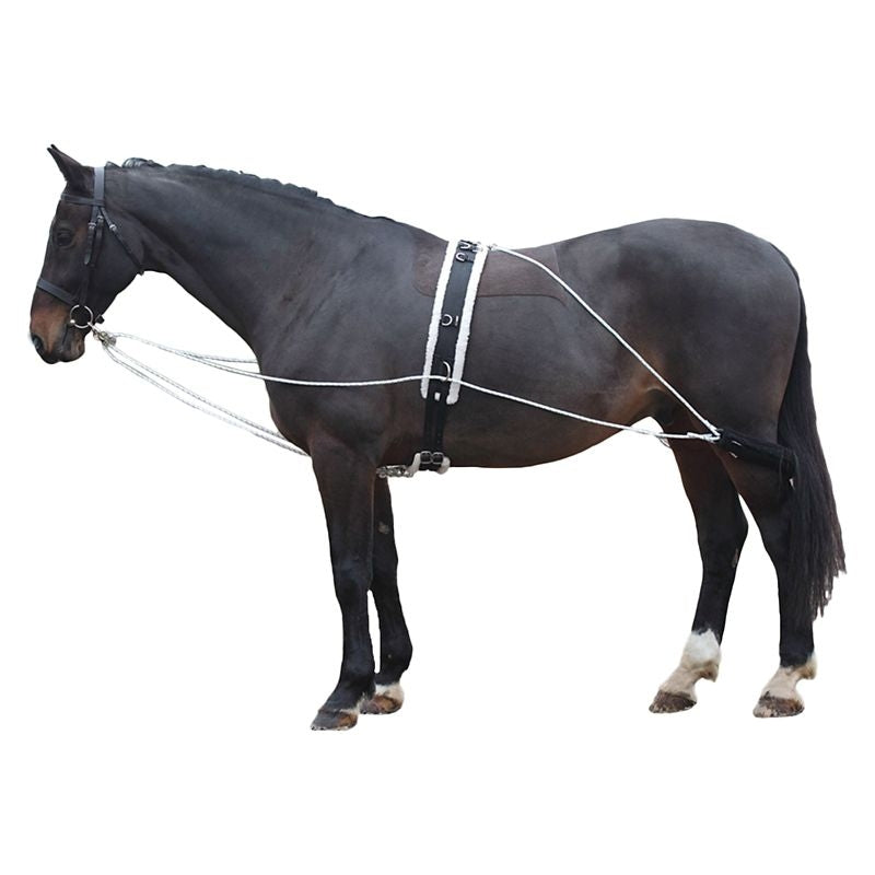 Shires Lunging Aid White