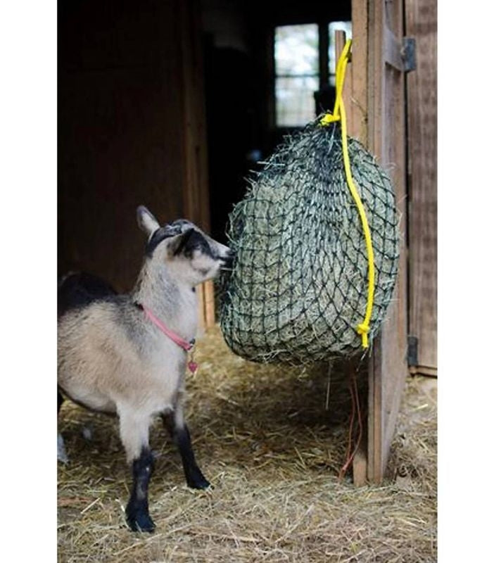 Texas Haynet Economy Hay Net Black 7 X 3 X 3