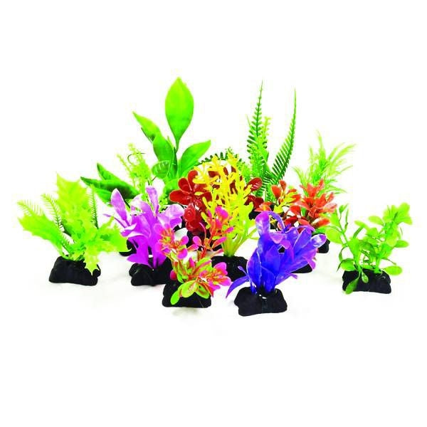 Aquatop Profit Power Pk Plants 3In 12pk