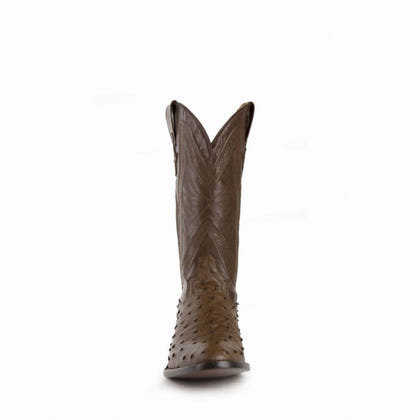 Ferrini Mens Colt Ostrich Boots