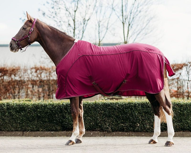 QHP Astana Coolmesh Blanket