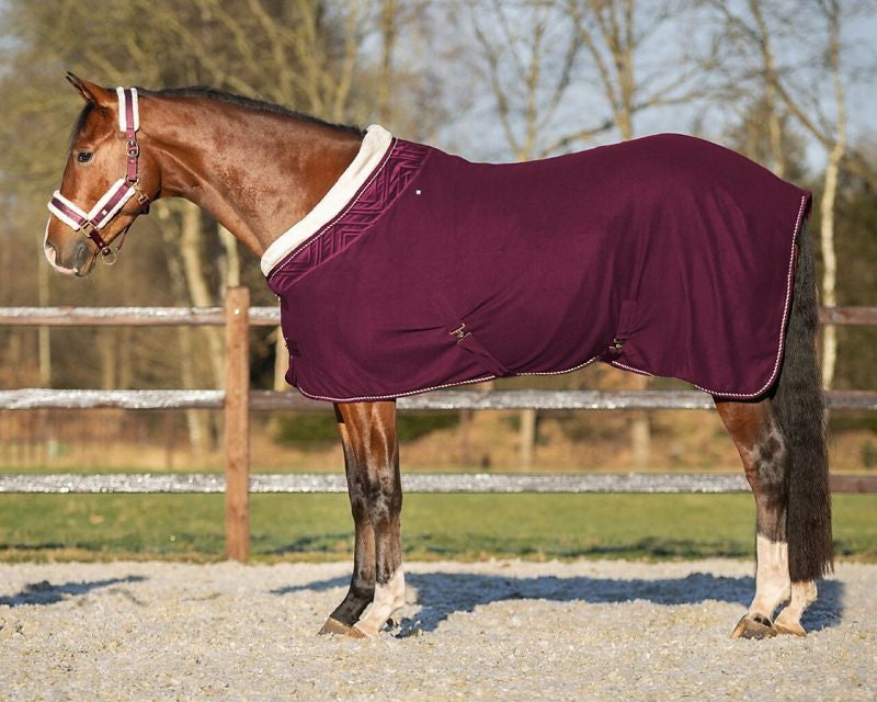 QHP Menton Show Rug