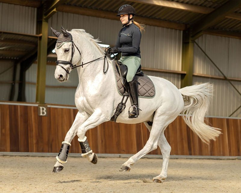QHP Ladies Equestrian Dream FG Riding Tights