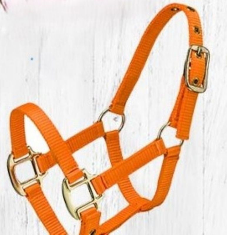 Ozark Mini Engraved Neon Halter with Lead