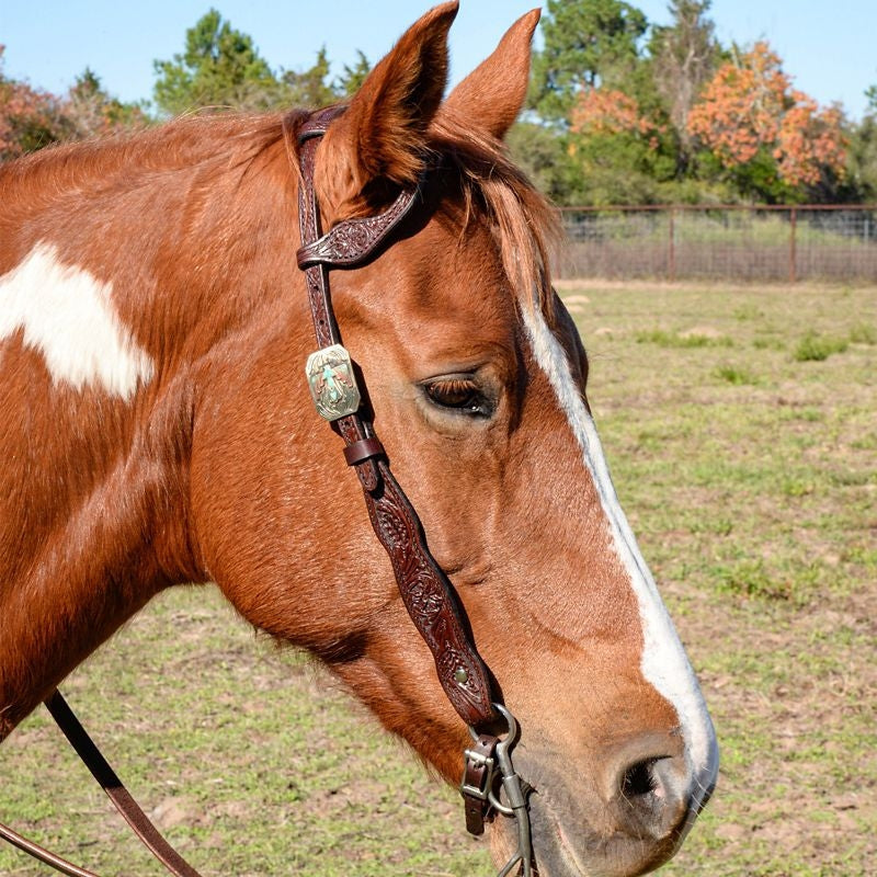 Circle Y Great Oak One Ear Headstall