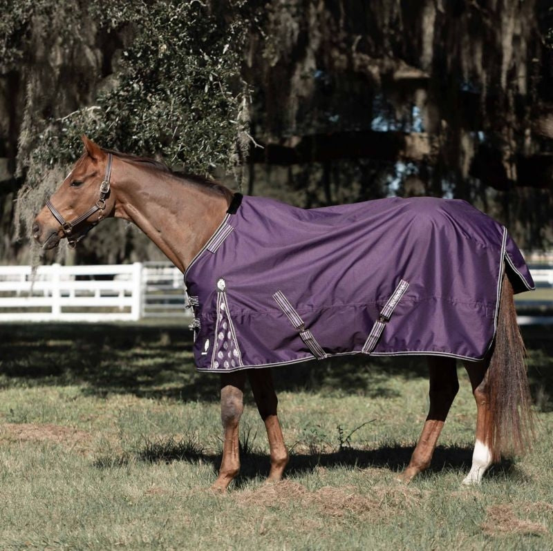 Equinavia Norse Lite Turnout Blanket 100g