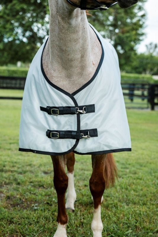 Amigo Bug Rug Stock Horse Plus Fly