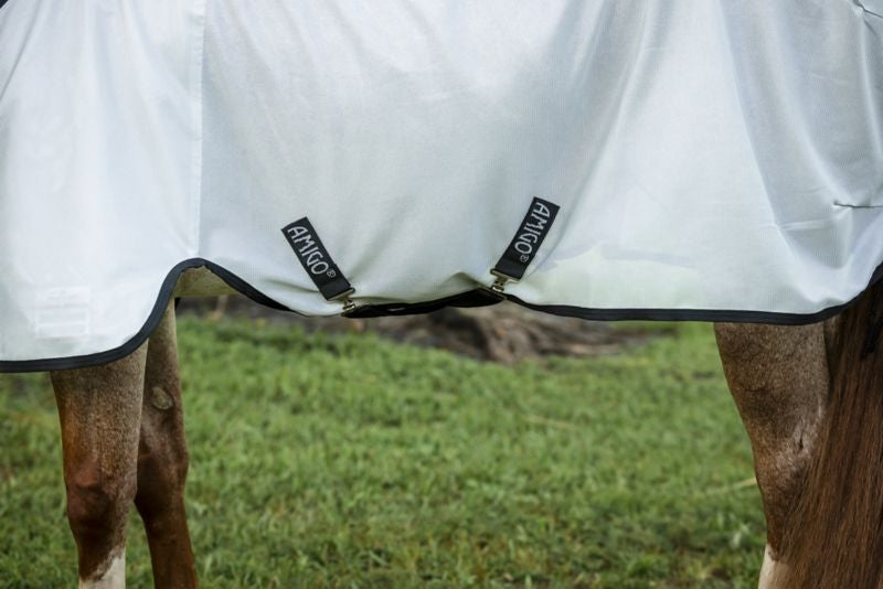 Amigo Bug Rug Stock Horse Plus Fly