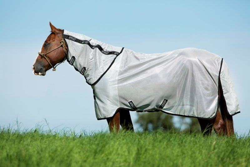 Amigo Bug Rug Stock Horse Plus Fly