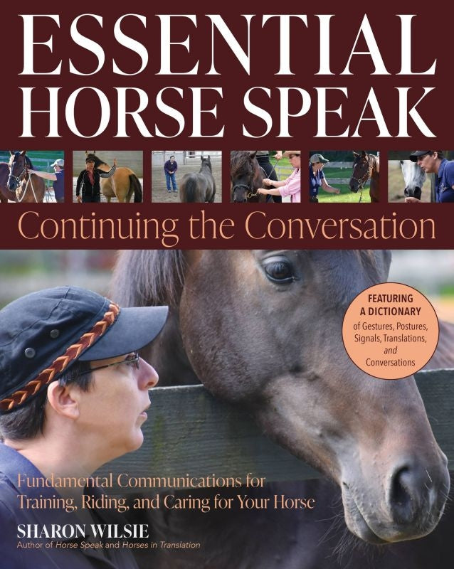 Essential Horse Speak Continuing the Conversation