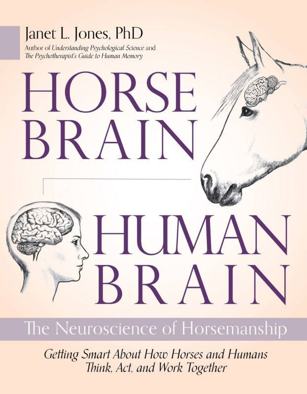Horse Brain Human Brain 312 Pages