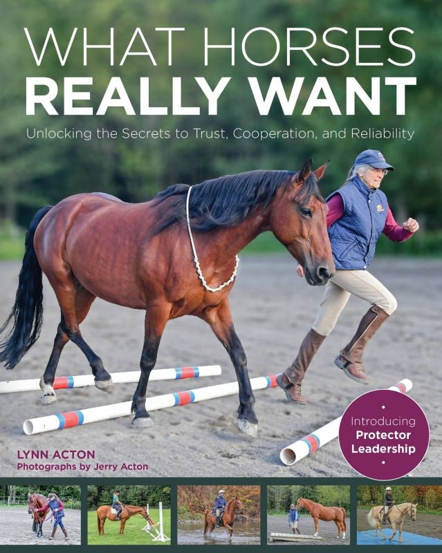 What Horses Really Want 288 Pages