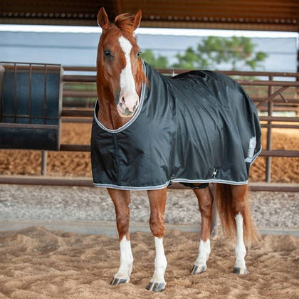 Classic Closed Front Stable Sheet