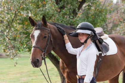 EquiVisor Sport VUE Visor/ Neck Shield Set