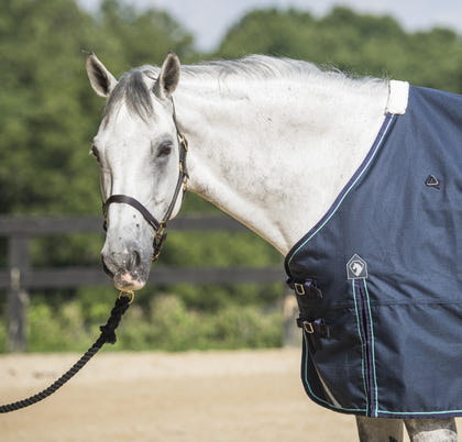Defender Platinum 1200D Turnout 250g