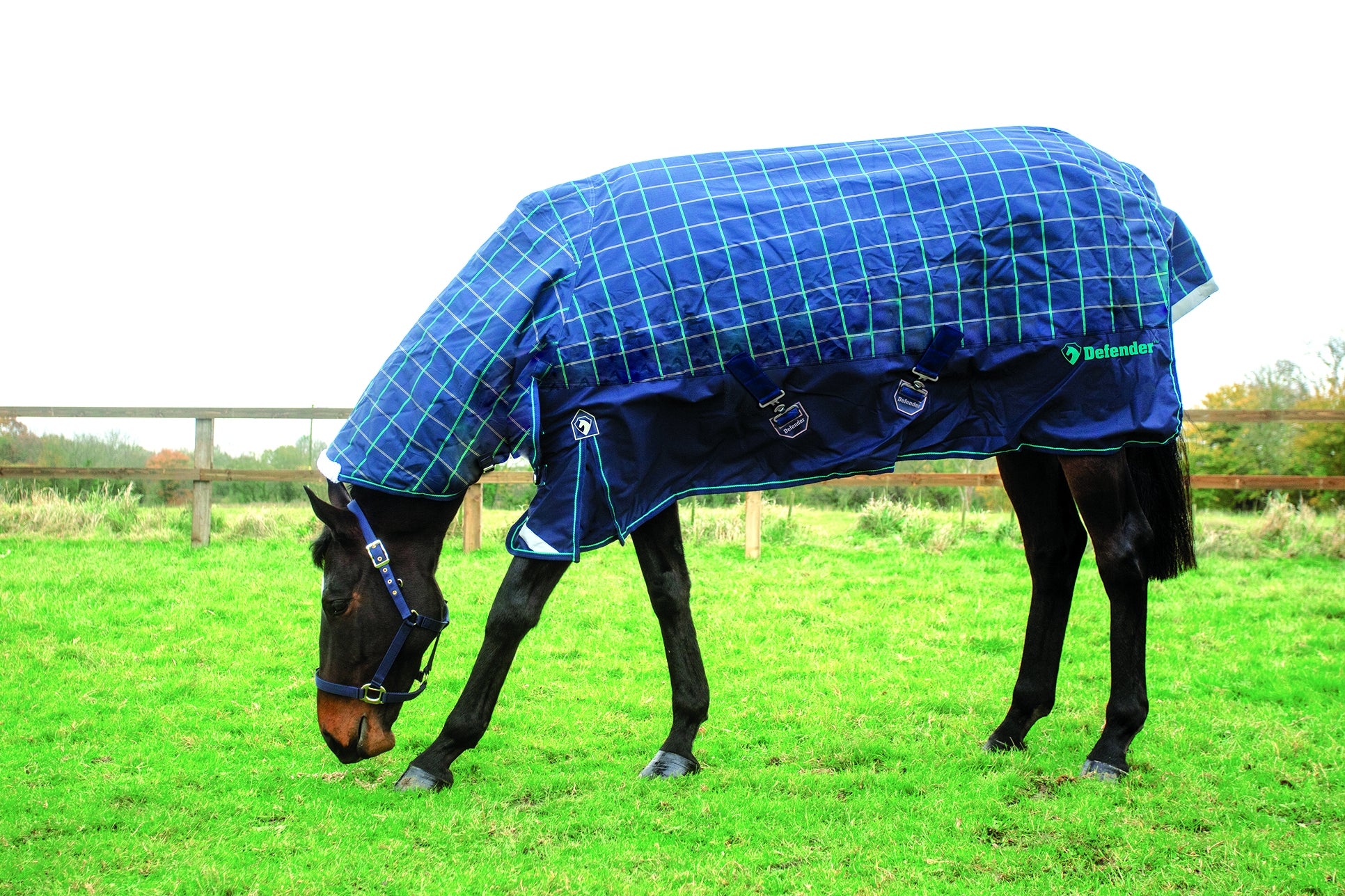 Defender Platinum 1200D Combo Blanket 250g