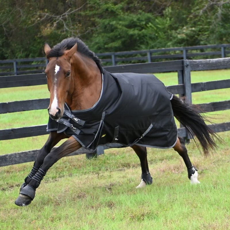 Gatsby Premium 1200D WP Turnout Sheet
