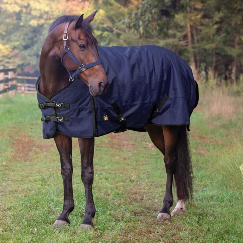 Gatsby 600D WP Ripstop T/0 HW Blanket