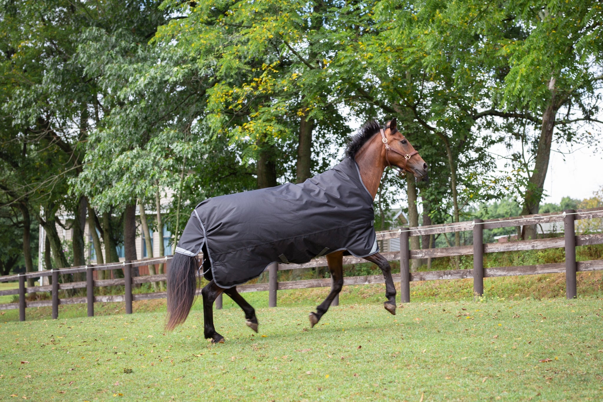 Defender Titanium 1200D High Neck Sheet