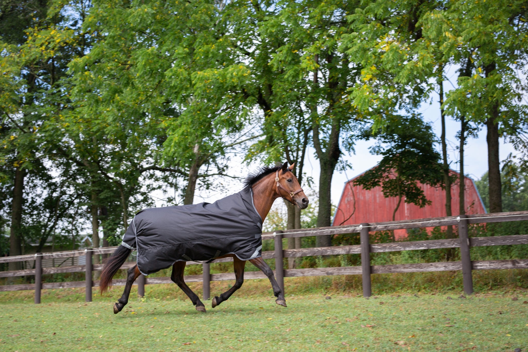 Defender Titanium 1200D High Neck Sheet