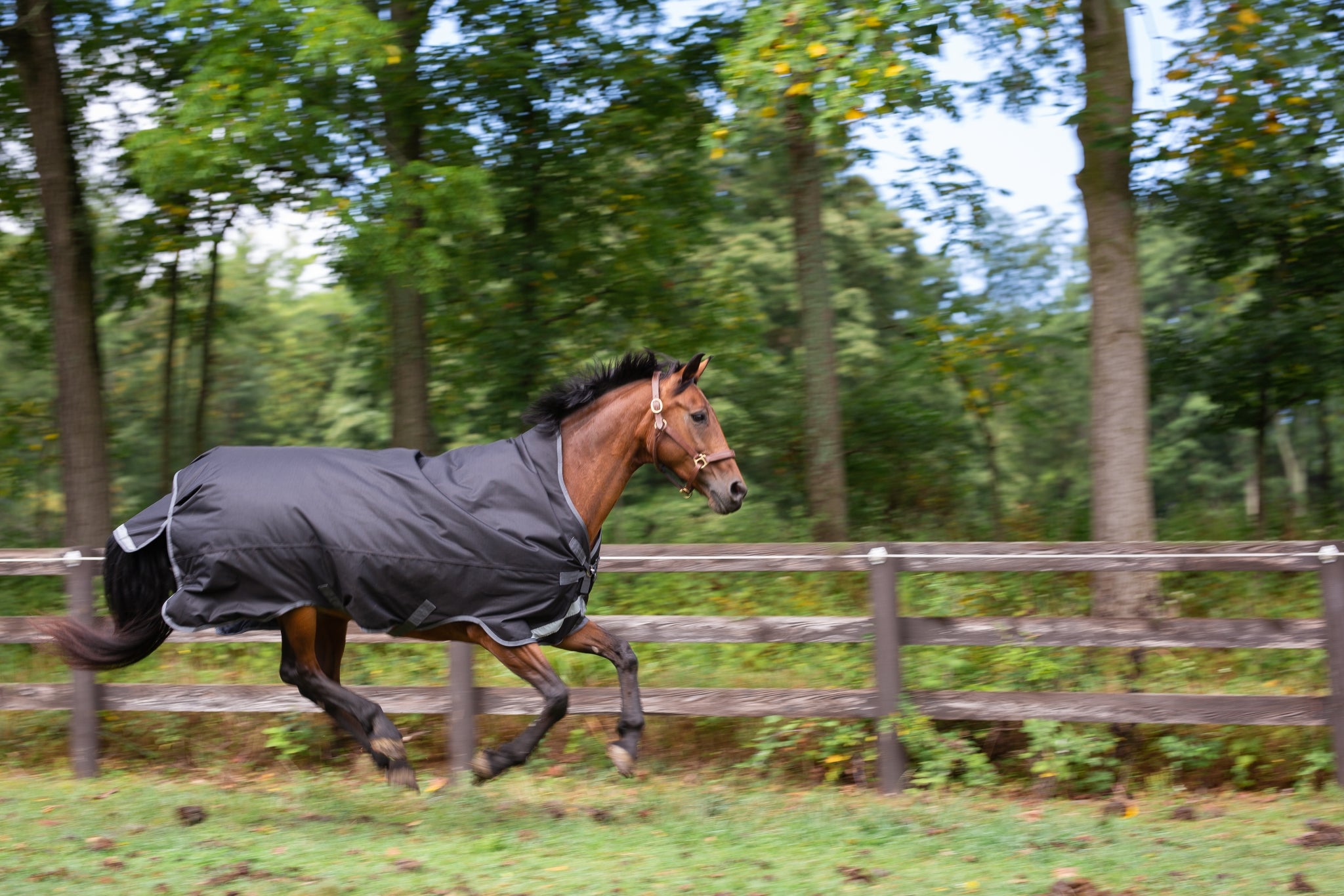 Defender Titanium 1200D High Neck Sheet