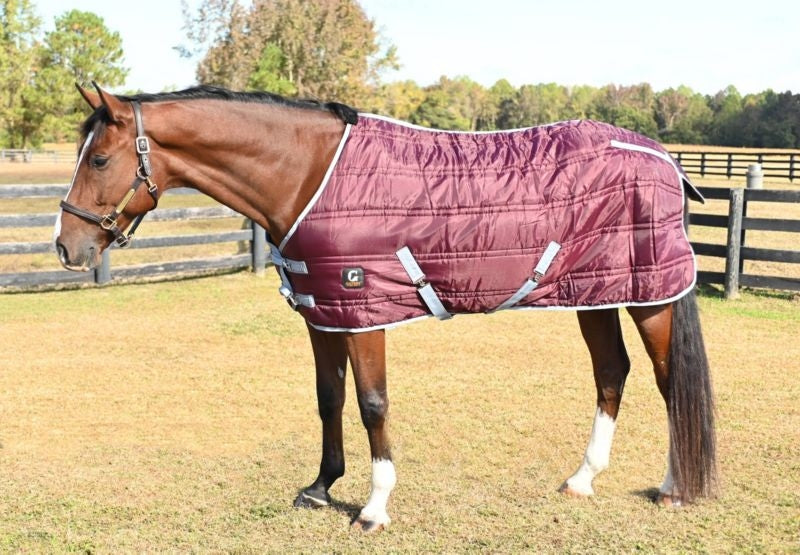 Gatsby 600D 250g Stable Blanket