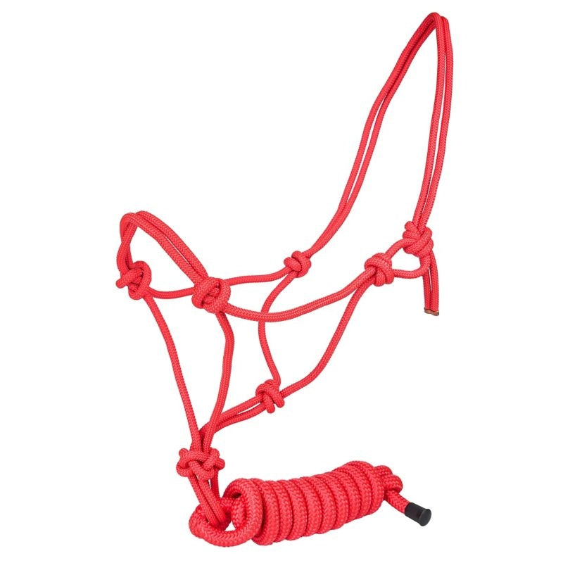 Tabelo Cowboy Rope Halter with Lead