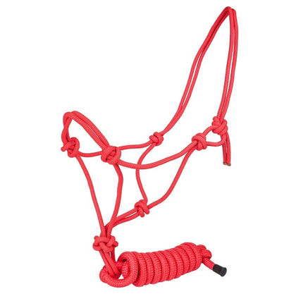 Tabelo Cowboy Rope Halter with Lead
