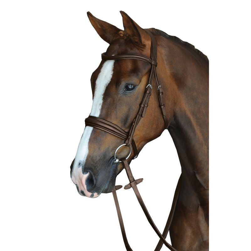 Collegiate Mono Crown Raised Cavesson