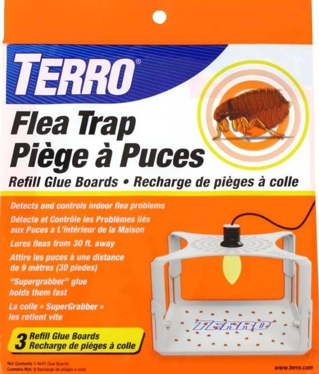 Victor The Ultimate Flea Trap
