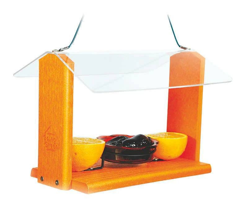 Woodlink Going Gren Oriole And Bluebird Feeder