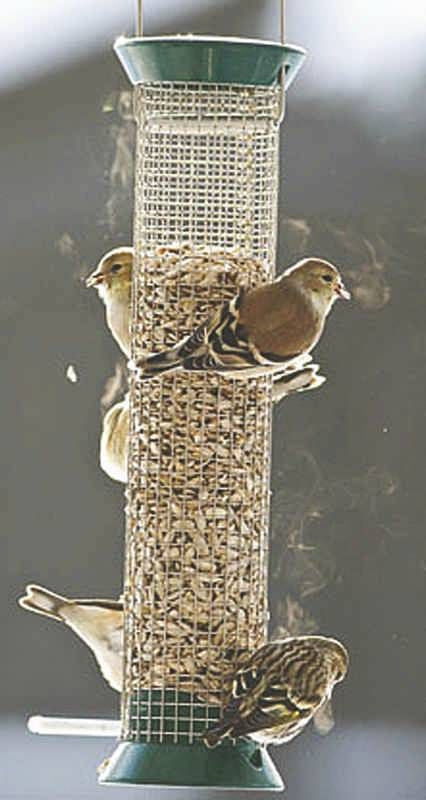 Droll Yankees Grn New Genertn Metal Peanut Feeder