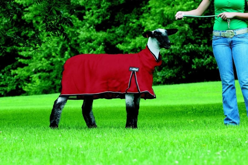 ProCool Mesh Sheep Blanket