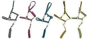 Amigo Headcollar Cob Navy/Silver